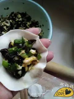 Make Hemium veggie dumplings step 7
