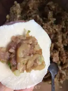 Make Cheese and pork dumplings step 12