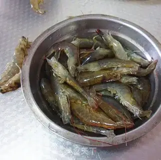 Make Shrimp for cooking step 1