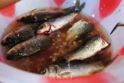 Make Squid soup step 0
