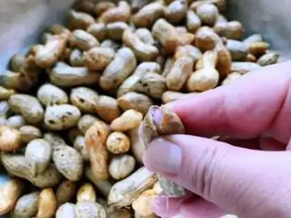 Make Five peanuts step 1