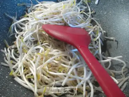 Make Soup sprouts step 2