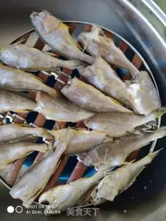 Make Cannonfish step 0