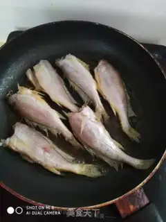 Make Cannonfish step 1