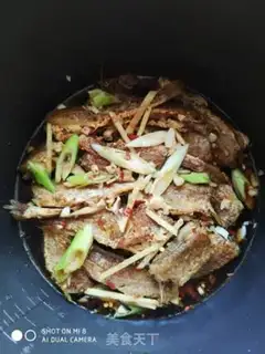 Make Cannonfish step 5