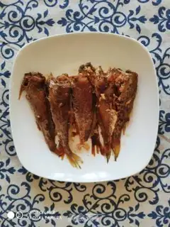 Make Cannonfish step 7
