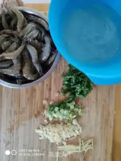 Make Shrimp fans step 0