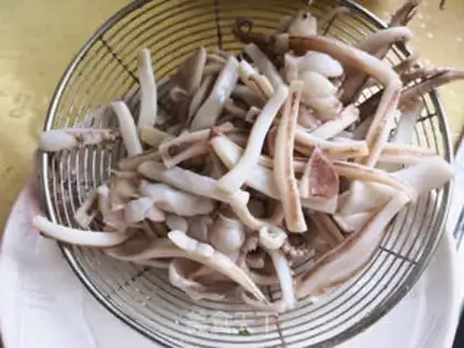 Make Squid step 1