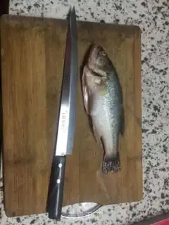 Make Vacuate herring step 0
