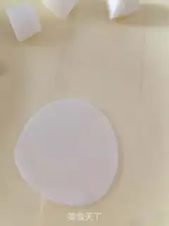 Make Crystal dumplings step 7
