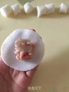 Make Crystal dumplings step 8