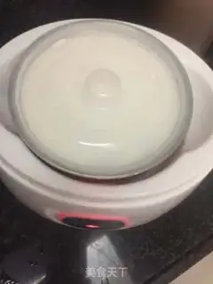 Make Yogurt step 6
