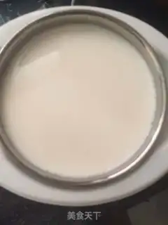 Make Yogurt step 8