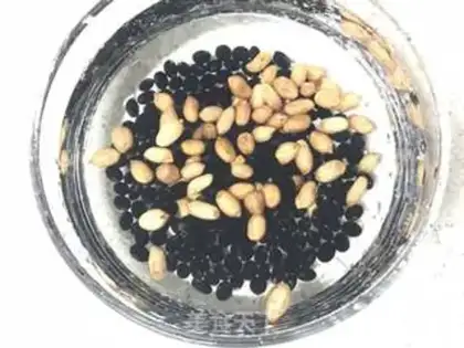 Make Peanut black soy step 1