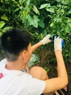 Make Fresh pepper step 0