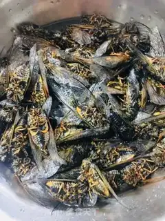 Make The fragrance knows step 1