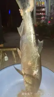 Make Fish head step 0
