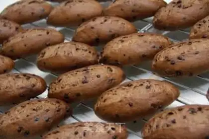 Make Chocolate sweet bread step 13