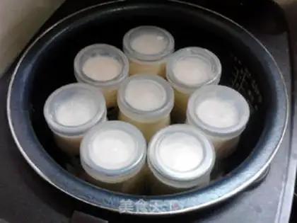 Make Red tea yogurt step 13