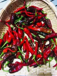 Make Korean hot sauce step 0