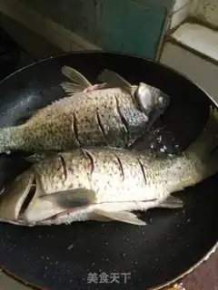 Make Toadfish step 0