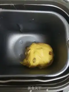 Make raisin bread step 8