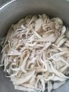 Make Frozen step 0