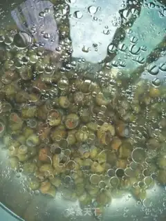 Make Snails step 0