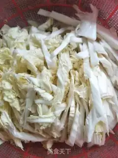 Make Garbage cabbage step 0