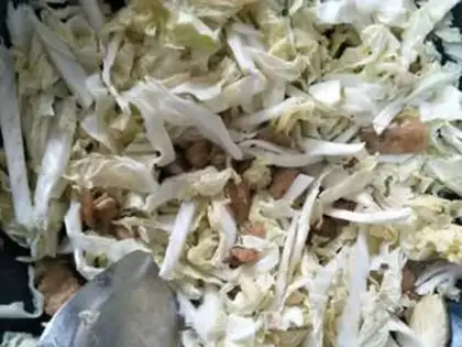 Make Garbage cabbage step 3