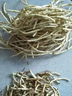 Make Fish and grass step 1