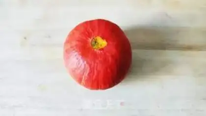 Make Pumpkin step 0