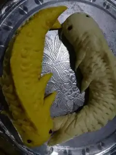 Make Double fish step 22