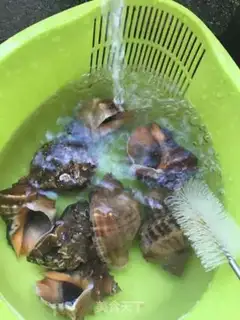 Make Ginger conch step 0