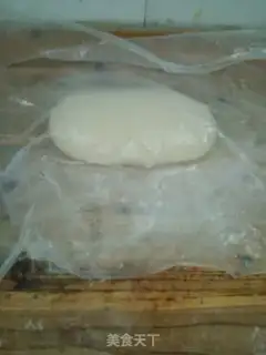 Make Spring South Egg Skin step 6