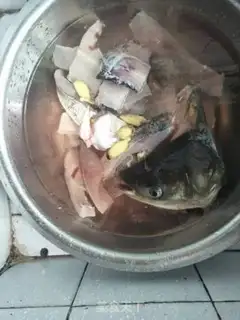 Make Squidfish step 0