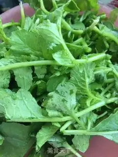 Make The radish moth, the sea gin salad step 0