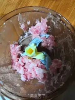 Make Squid step 2