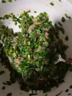 Make Squid step 3