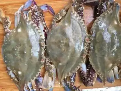 Make Ginger onions for sea crabs step 0
