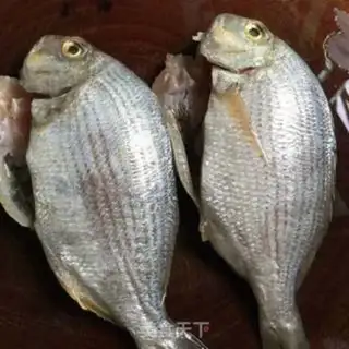 Make Red burning seafish step 0