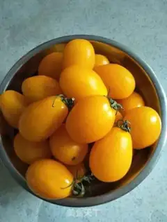 Make Yellow ketchup step 0
