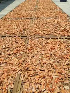 Make Traditional shrimp drying step 4