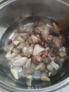 Make Fake abalone step 1