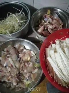 Make A live fish step 0