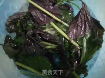 Make Snails step 1