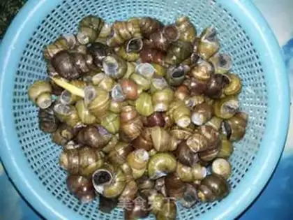 Make Snails step 2