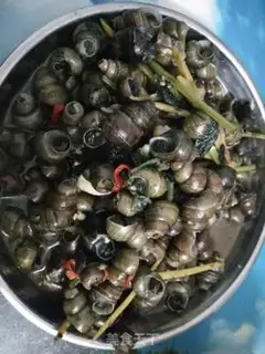 Make Snails step 3