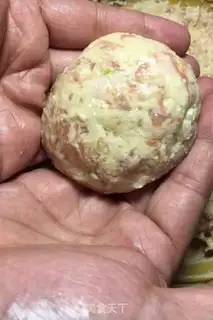Make Tofuballs step 5