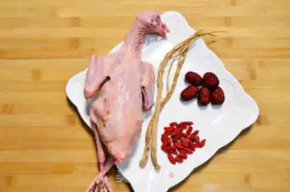 Make Feeding pigeon soup step 0